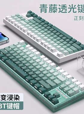 青藤键帽正刻侧刻PBT透光大全套