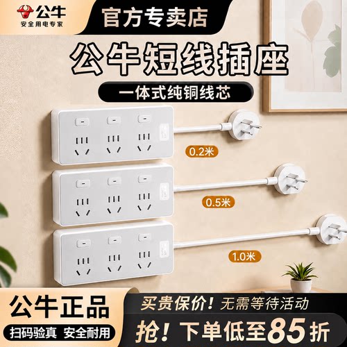 0.2米/0.5米/1米短线排插