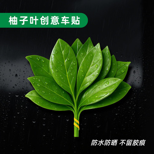 有趣个性 饰车贴 好运碌柚叶汽车车窗贴纸晦气走走好运柚子叶汽车装