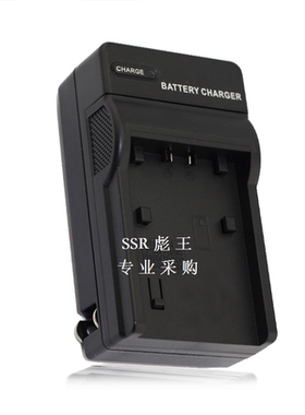 高专业采购充电器 EN-EL12 P300 AW120s S9600 电池充电器