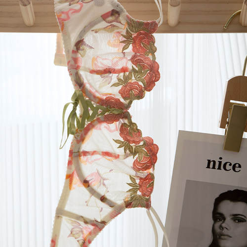 内衣女小胸聚拢夏季薄款法式超薄大胸显小文胸透明性感纯欲刺绣