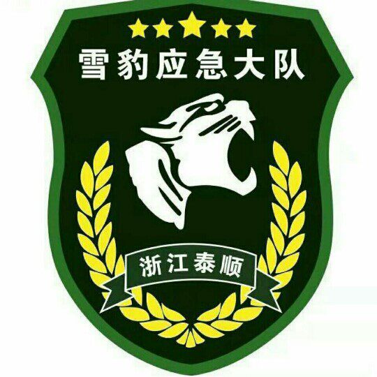 救援车俩应急救援队定做雪豹应急大队订制设计车标会标文字车贴