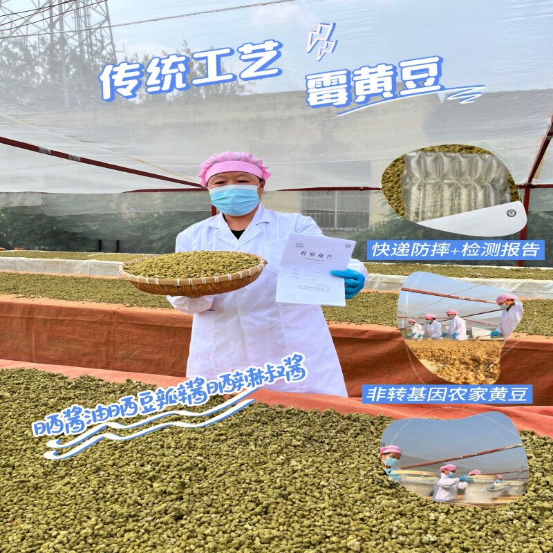 晒酱油晒豆瓣酱闷辣椒酱专用霉黄黄豆
