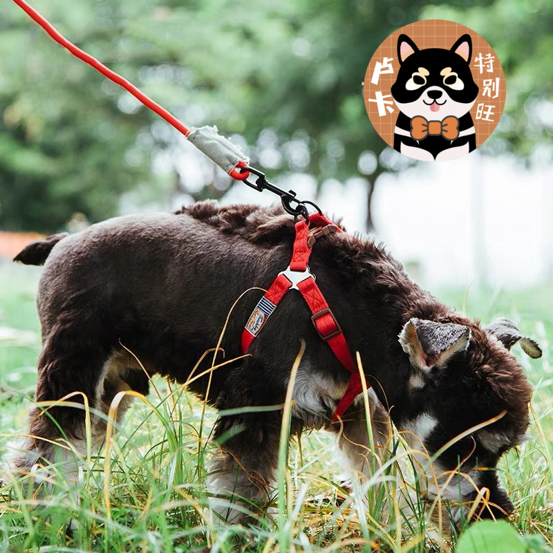 它它狗狗牵引绳圆绳胸背项圈狗链