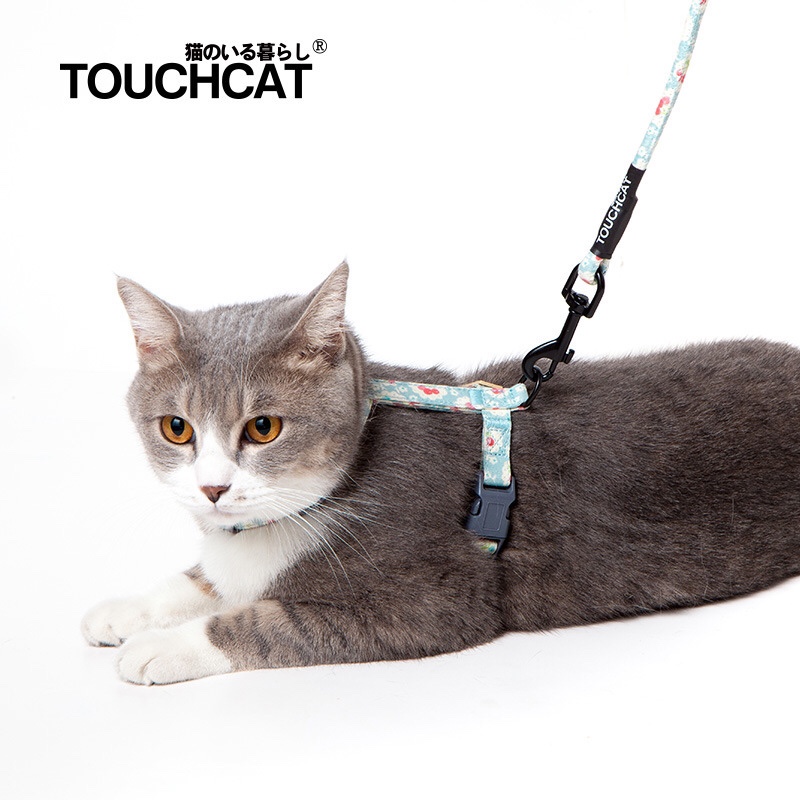 Touchcat它它新款溜猫牵引防挣脱遛栓小猫绳子猫胸背拉绳不可伸缩-封面