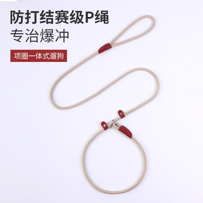 宠物狗狗牵引绳防爆冲遛狗绳一体式尼龙皮扣狗链耐用耐拉p绳