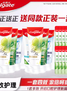 【淘享】高露洁多效护理家庭装含氟牙膏清新口气A