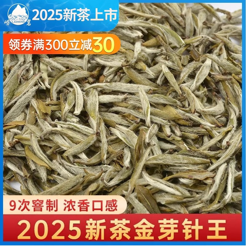 崂茗茉莉金芽针王浓香茶叶新茶