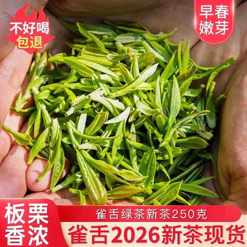 崂茗雀舌绿茶浓香2026新茶毛尖茶叶250g高山竹叶嫩芽春茶明前散装
