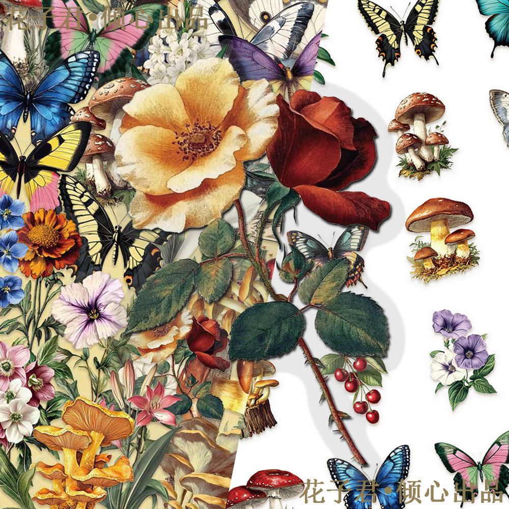 100张植物蝴蝶PET贴纸趣味高颜值花卉蘑菇彩绘装饰diy手账贴画,文具电教/文化用品/商务用品,贴纸/立体贴纸,淘宝优惠券,粉丝福利购,淘宝优惠卷