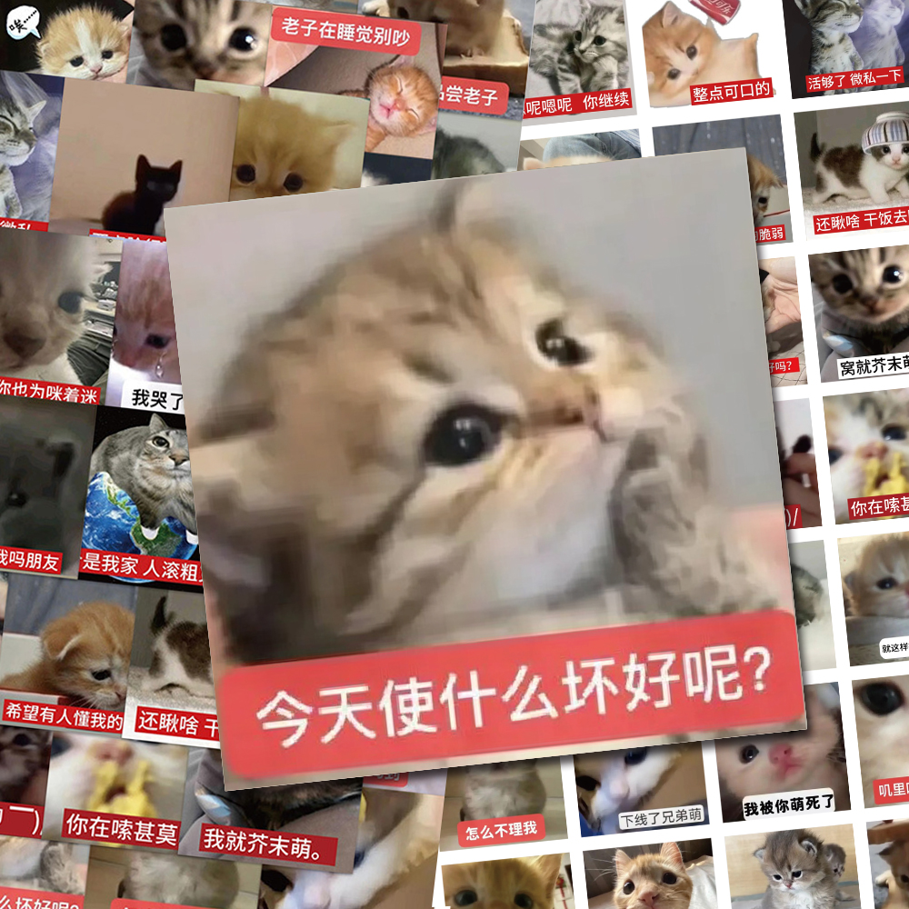 124张小猫表情包贴纸抽象恶搞猫咪趣味文字爆款手帐桌面学生贴画