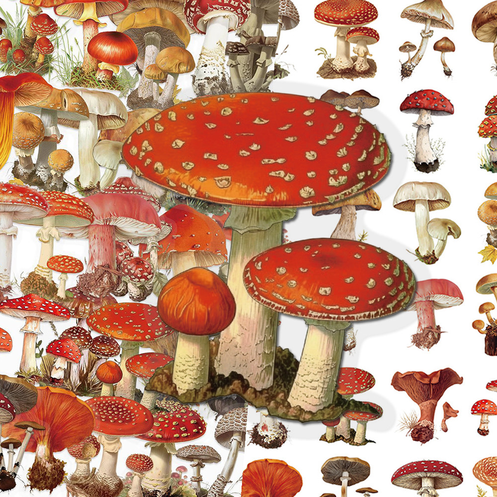 100张复古蘑菇PET贴纸彩绘森林小蘑菇儿童贴画diy手账书本装饰贴,文具电教/文化用品/商务用品,贴纸/立体贴纸,淘宝优惠券,粉丝福利购,淘宝优惠卷