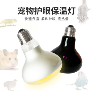 芦丁鸡保温灯加热灯龟箱加温灯泡 鹦鹉保温灯UVA日灯月光夜灯