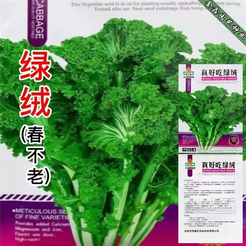 秋冬播种绿绒春不老菜籽花叶苔菜菜籽蔬菜种子