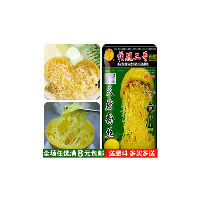 绞丝金丝瓜种子 搅绞瓜种子角瓜种子 抗病早熟 天然粉丝味同海蜇