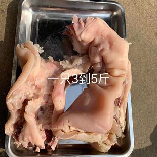 全熟黄牛蹄 清水加工 原味无添加 筋肉分明 包邮 去骨带筋