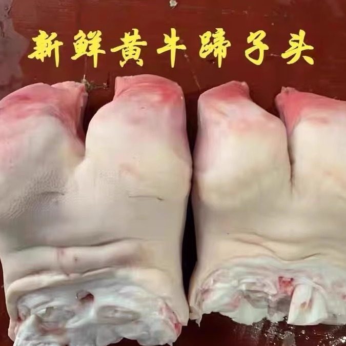 新鲜黄牛蹄尖牛爪子牛掌子牛肉新鲜速冻牛脚生牛短蹄子整只