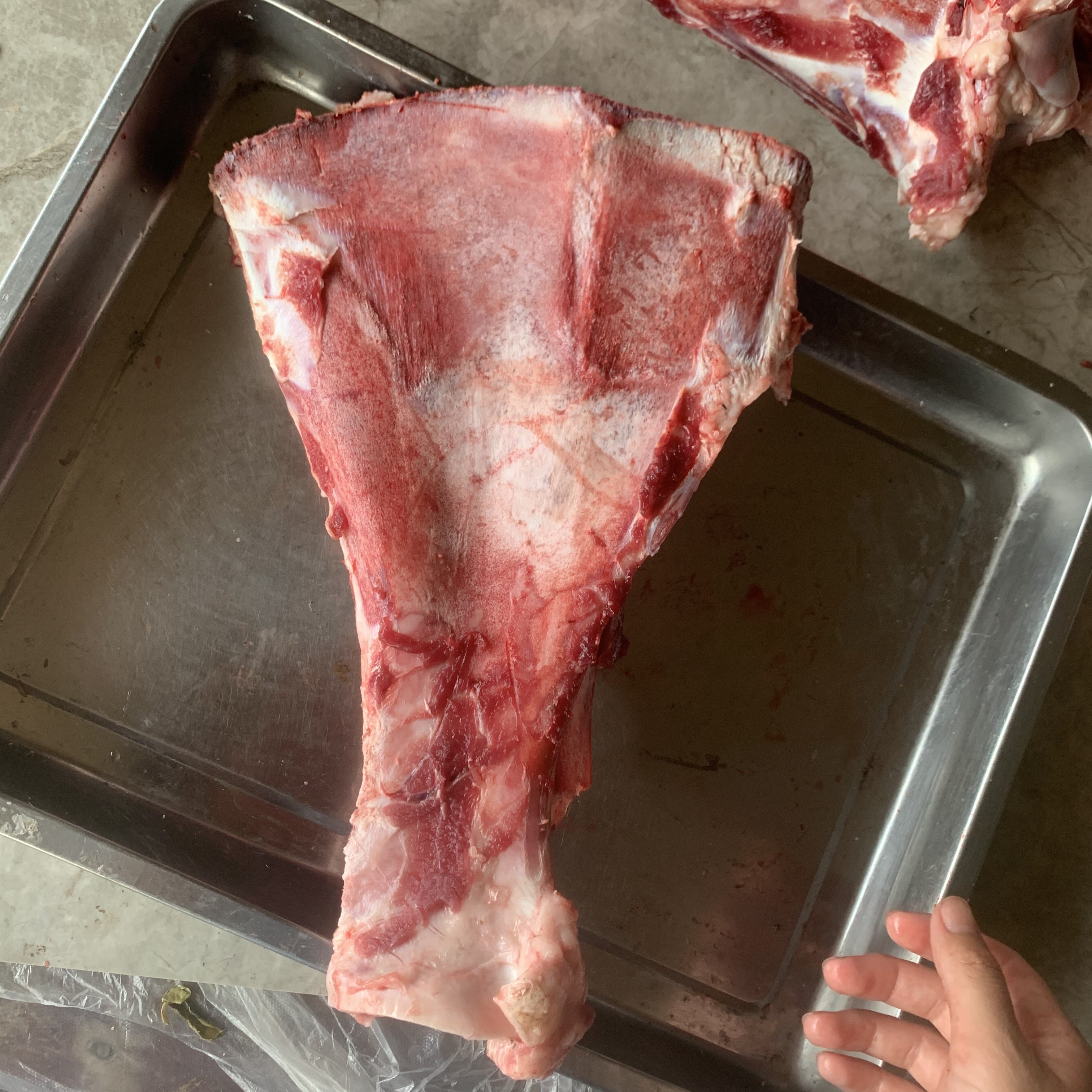 新鲜黄牛扇骨 牛胯骨 黄牛骨 硬骨头 扇子骨1斤价格 包邮