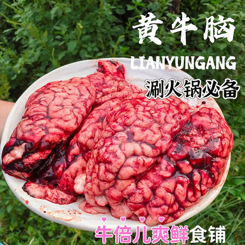 牛脑包邮2个价格黄牛脑本地屠宰场黄牛脑子 牛脑花 国产牛脑