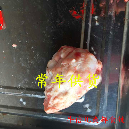 新鲜黄牛膝盖骨 牛膝盖骨 生髌骨 宠物狗狗磨牙洁齿（1个）