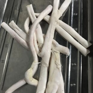 新鲜黄牛牛筋 全国包邮 正宗牛蹄筋 牛下水牛主筋牛筋(500g)