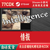 CDKey激活码 情报正版 Steam游戏激活码 自动发货