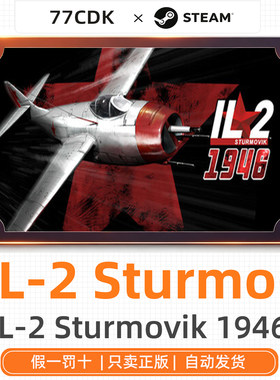斯图尔莫维克战斗机正版Steam游戏CDK激活码IL-2 Sturmovik 1946