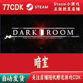 自动发货Dark 暗室正版 Steam游戏CDKey激活码 Room