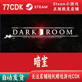 暗室正版Steam游戏CDKey激活码自动发货Dark Room