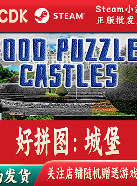 好拼图：城堡正版Steam游戏CDKey激活码自动发货Good puzzle: Cas