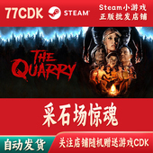 自动发货The 采石场惊魂正版 Steam游戏CDKey激活码 Quarry