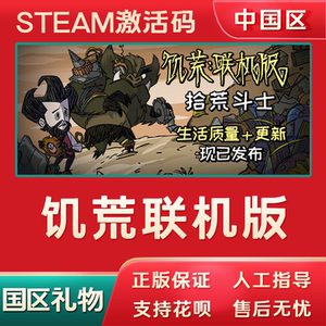 饥荒联机版激活码steam国区礼物Dont Starve Togethercdk正版游戏