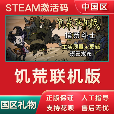 steam饥荒联机版国区正版激活码