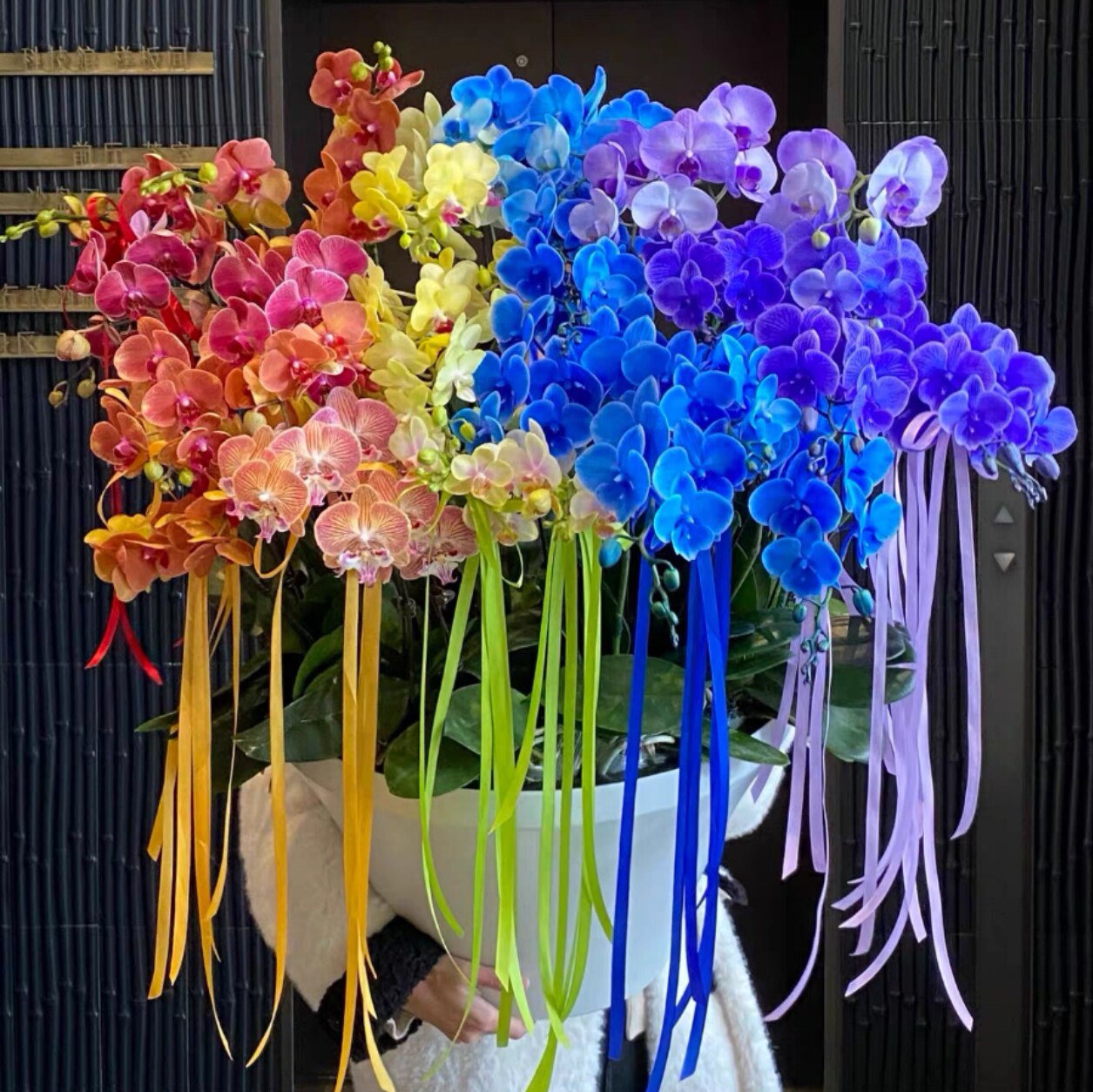 西安同城花店鲜花蝴蝶兰混搭花束年宵花送女友送闺蜜生日礼物