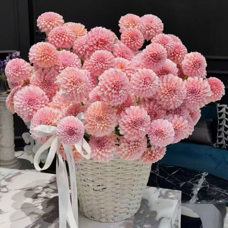 西安同城花店鲜花花束七夕情人节花束送女友送闺蜜生日礼物