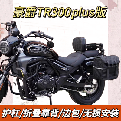 适用豪爵TR300plus改装保险杠护杠加厚加宽折叠靠背货架边包配件