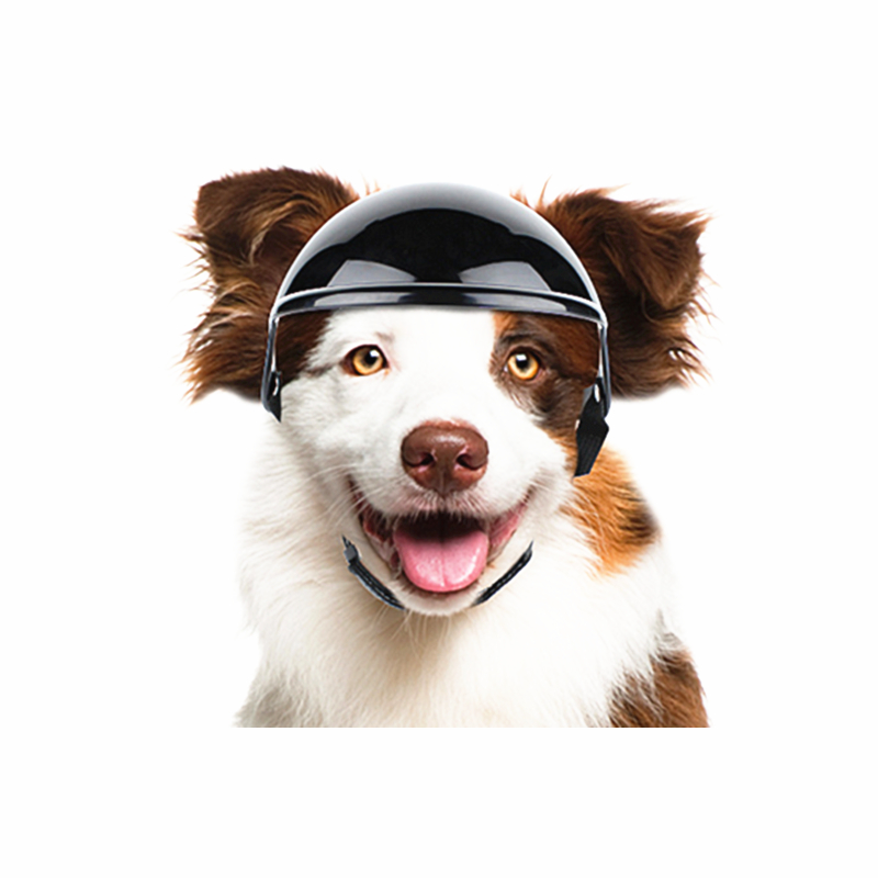 2025新款宠物头盔狗狗帽子骑车柯基泰迪机车摩托车帽中型犬大型犬