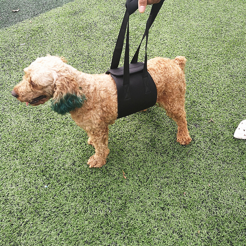 2026新款宠物辅助带狗背带大狗爬楼腿辅助老年狗大龄犬帮助走路用