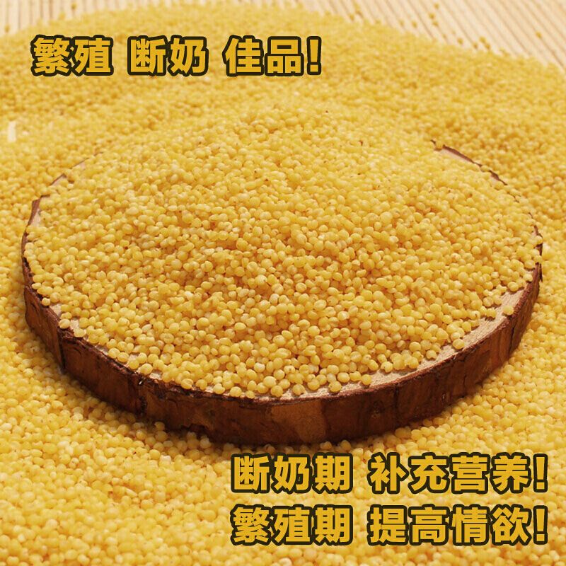 鹦鹉蛋黄小米幼鸟饲料去壳