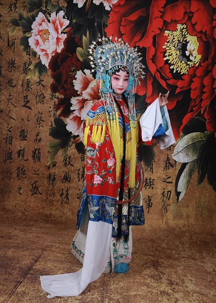 戏曲加厚背景牡丹写真布摄影影楼古装主题甄嬛传之菀嫔花PZ-179