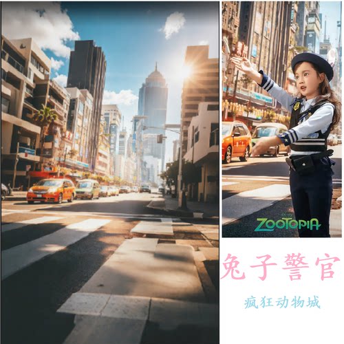 疯狂动物城兔子警官拍照背景布