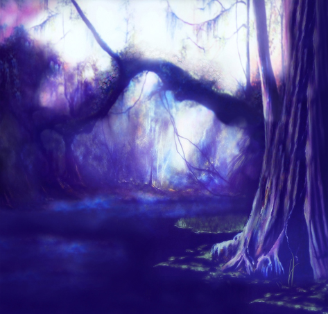 影楼照相馆主题摄影背景布数码