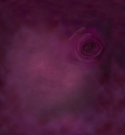 紫红色油画肌理摄影背景棚影楼加厚帆布背景布pz-093樱花下的玫瑰