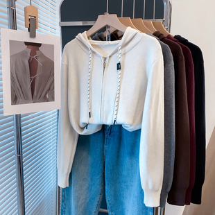 连帽拉链毛衣女套头2025秋冬新款宽松外穿卫衣针织衫内搭厚打底衫