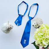 森马集团Hey Junior学院风蓝色领带男女通用校服制服领花条纹