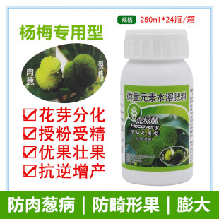 深绿帅杨梅专用叶面肥防治肉葱病裂核病防畸形果僵果膨大黑亮壮果