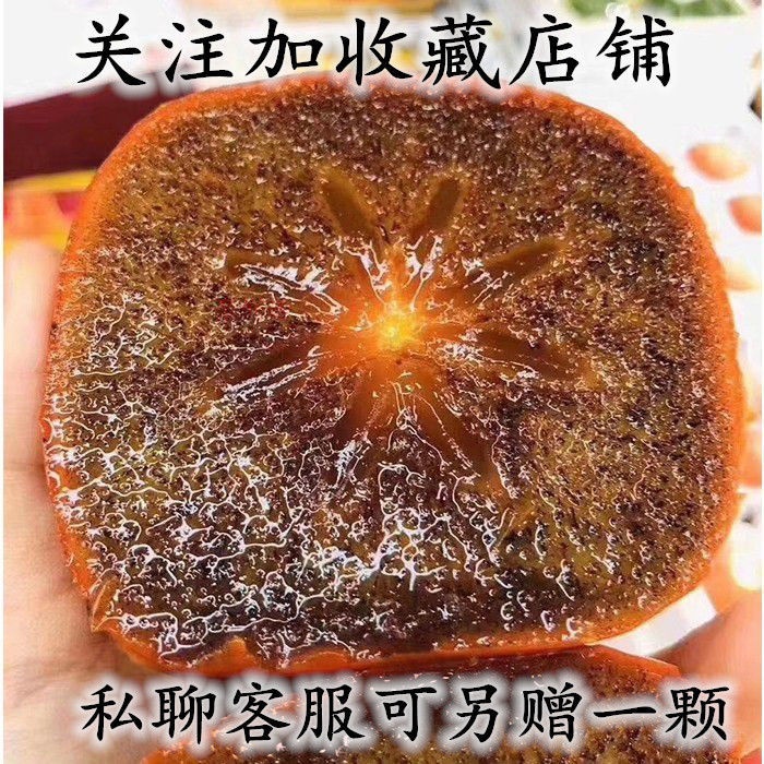 新品种和歌山黑糖柿子苗好吃不涩脆甜无核黑肉脆柿子树苗嫁接果树