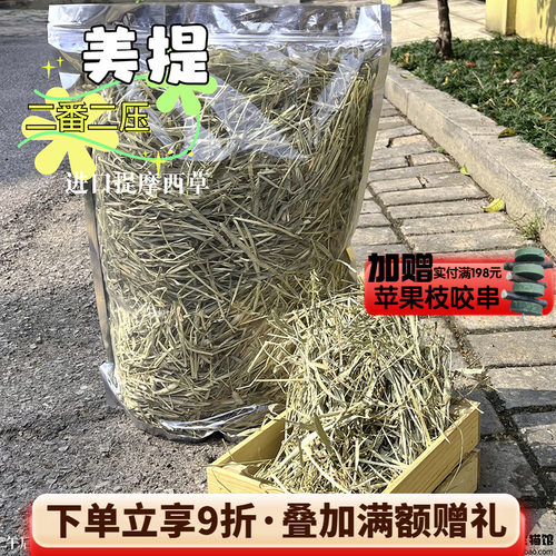 进口美提二番提摩西龙猫兔子磨牙