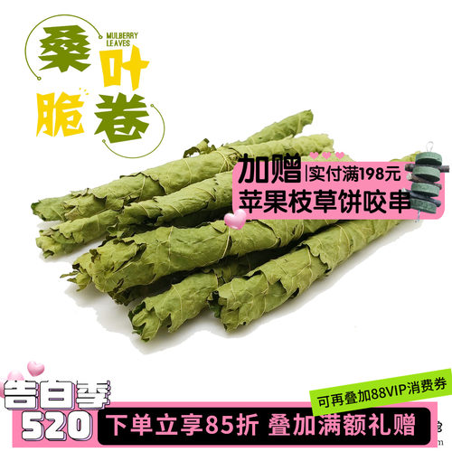 2件包邮 龙猫兔子桑叶卷桑叶片小宠零食草防上火蛋白补充营养*50g