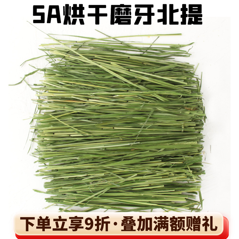 兔子龙猫主食牧草北提提草提默西